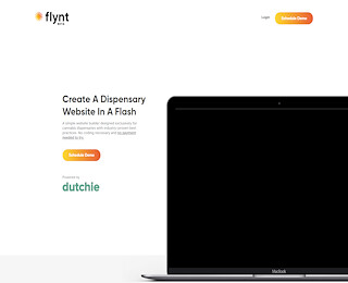 tryflynt.com